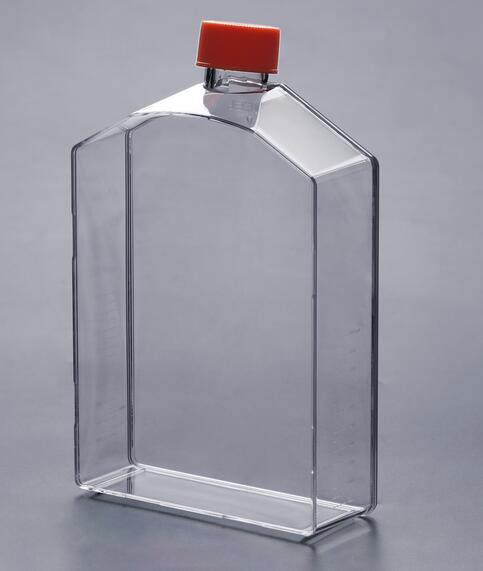 細胞培養(yǎng)瓶中的細胞無法貼壁是什么原因引起的呢？