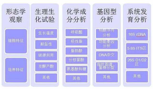 微生物檢測基礎(chǔ)操作匯總和梳理！