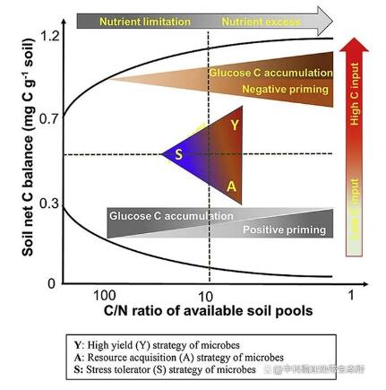 微生物生活策略對(duì)激發(fā)效應(yīng)和土壤碳平衡的化學(xué)計(jì)量調(diào)節(jié)機(jī)制進(jìn)展