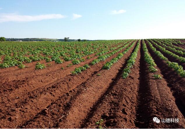 微生物肥料的定義及生產(chǎn)工藝和發(fā)展趨勢(shì)