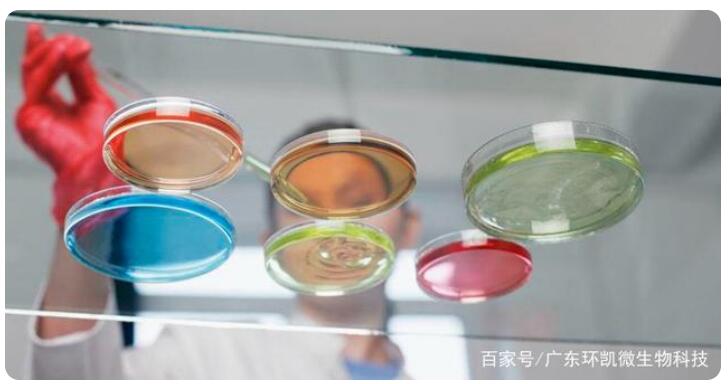 微生物培養(yǎng)基中的生長(zhǎng)因子和碳源氮源無(wú)機(jī)鹽生長(zhǎng)因子指哪些