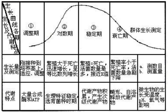 關(guān)于活性污泥的10個(gè)基本知識
