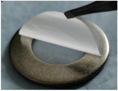 未培養(yǎng)環(huán)境微生物培養(yǎng)方法的研究進展