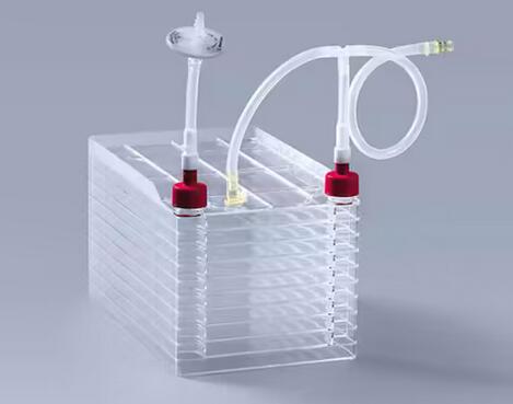 細胞工廠中細胞生長狀況的五大指標