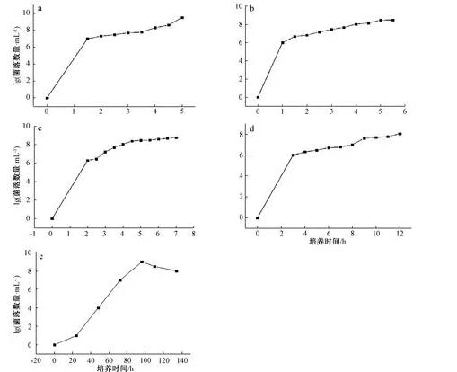 大腸埃希菌、白色念珠菌、黑曲霉等5種標(biāo)準(zhǔn)菌生長曲線測定方法與經(jīng)驗(yàn)分享