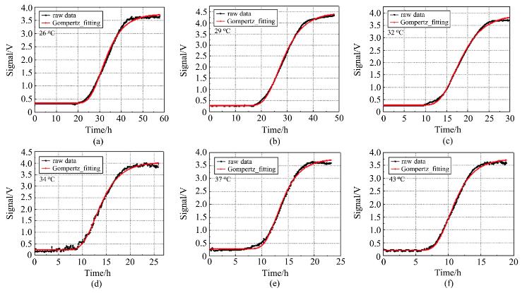 不同培養(yǎng)溫度下大腸桿菌的生長曲線測量數(shù)據(jù)