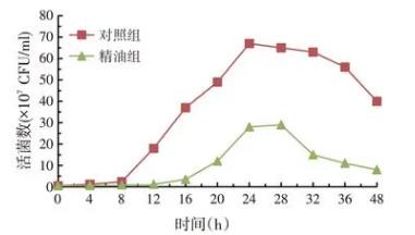 ?松針精油對梭狀芽孢桿菌、酵母菌、串珠鐮刀菌生長曲線的影響