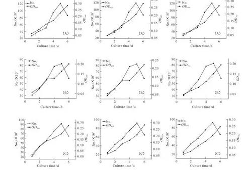 朱氏四爿藻、心形四爿藻等生長評價與生長曲線對比