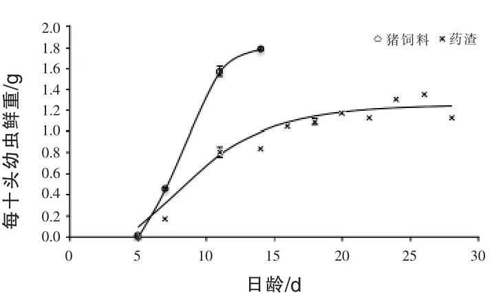 基于黑水虻幼蟲生長曲線測定探討中藥渣的最佳投喂量