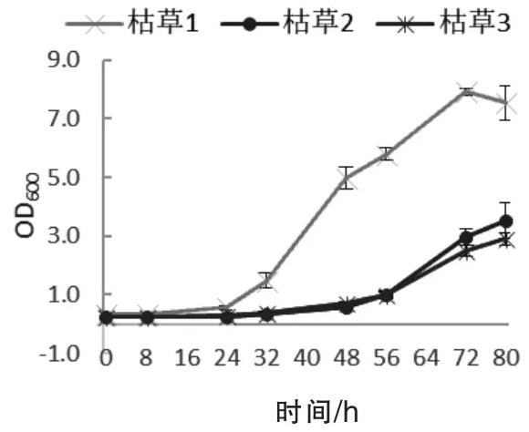 枯草芽孢桿菌與解淀粉芽孢桿菌培養(yǎng)基配方及生長(zhǎng)曲線圖繪制結(jié)果