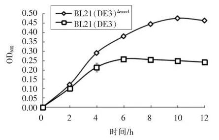 不同碳源培養(yǎng)基中大腸桿菌生長(zhǎng)曲線測(cè)定
