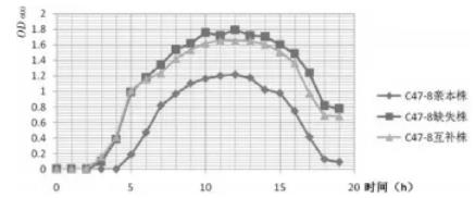 牦牛源多殺性巴氏桿菌C47-8株生長(zhǎng)曲線測(cè)定與研究