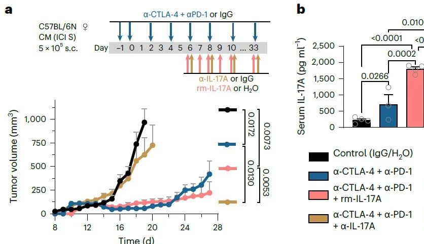 細(xì)胞生長(zhǎng)曲線與腫瘤生長(zhǎng)曲線繪制注意事項(xiàng)