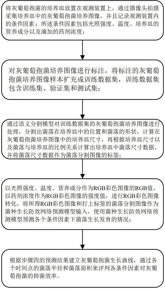 基于機(jī)器視覺(jué)的灰葡萄孢菌防效分析方法及裝置