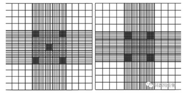 測定細(xì)胞生長曲線最常用的方法，細(xì)胞計(jì)數(shù)法怎么鋪板如何換算