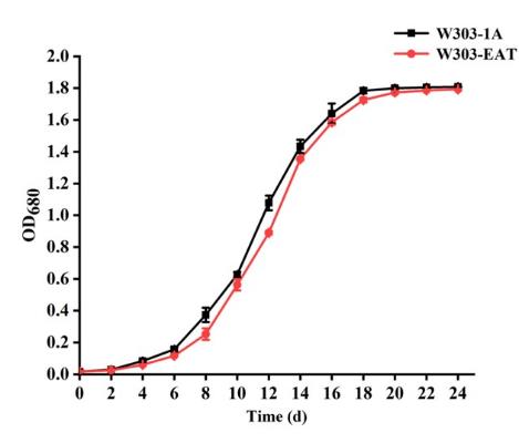 EAT基因低度酒酵母菌株對(duì)乙酸乙酯產(chǎn)生和香氣產(chǎn)生特性的影響