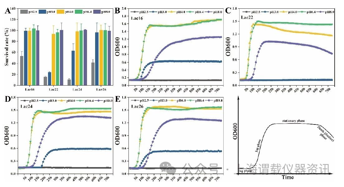 腸出血性大腸桿菌O157:H7的生物膜形成和生長(zhǎng)曲線分析