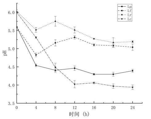 基于乳酸菌發(fā)酵技術(shù)強(qiáng)化蒲公英提取液的生物活性功能