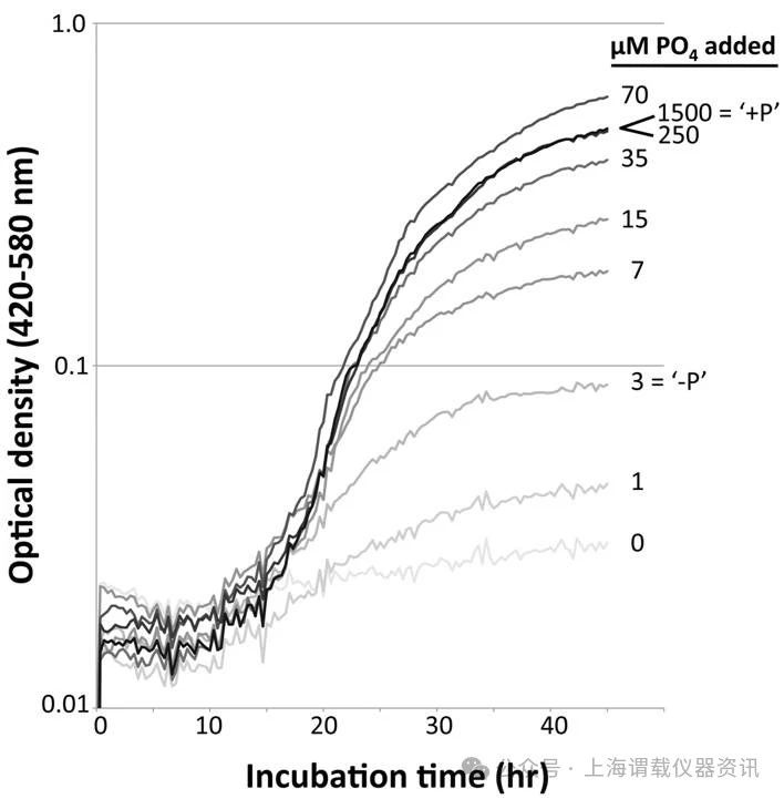 低磷酸鹽高砷酸鹽環(huán)境中GFAJ-1細(xì)菌生長曲線變化