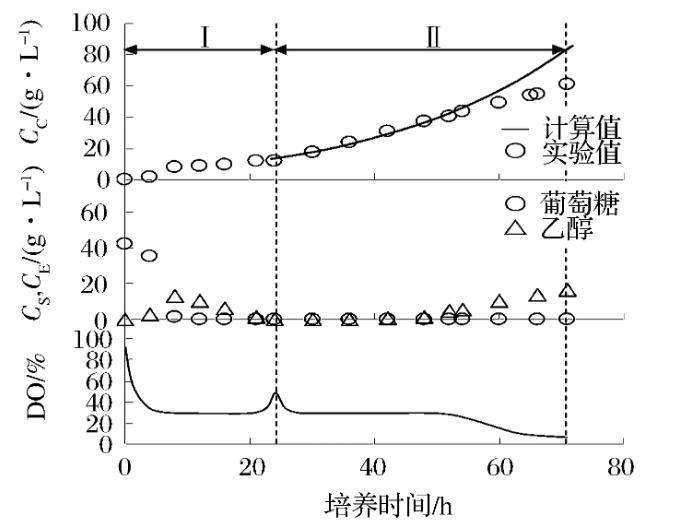 抗凍酵母生產(chǎn)速度與μ減小速度、累計補料體積有關(guān)嗎？