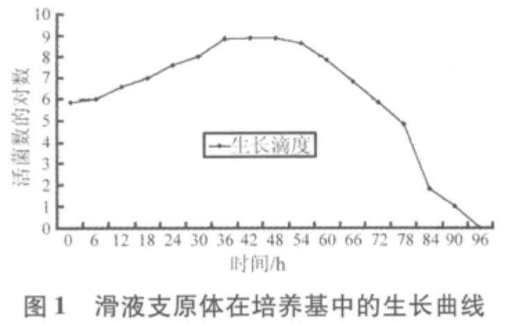 滑液支原體和豬鼻支原體不同培養(yǎng)時段的CCU的生長曲線與世代時間