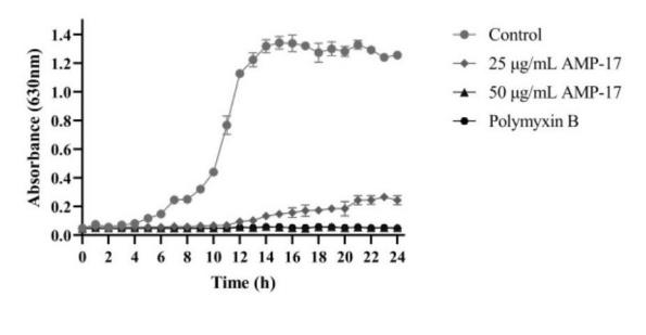 家蠅抗菌肽AMP-17抑制銅綠假單胞菌生長，為解決銅綠假單胞菌耐藥問題提供新思路