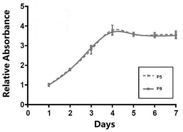 臍帶間充質干細胞的制備方法、步驟及增殖性實驗