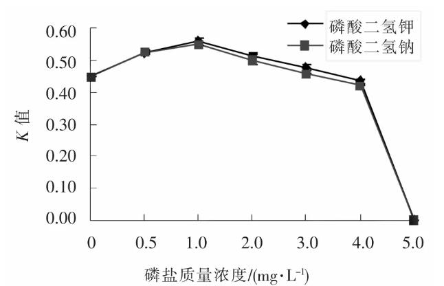 直鏈藻生長影響因素：溫度、鹽度、光照、pH、氮、磷、鐵、