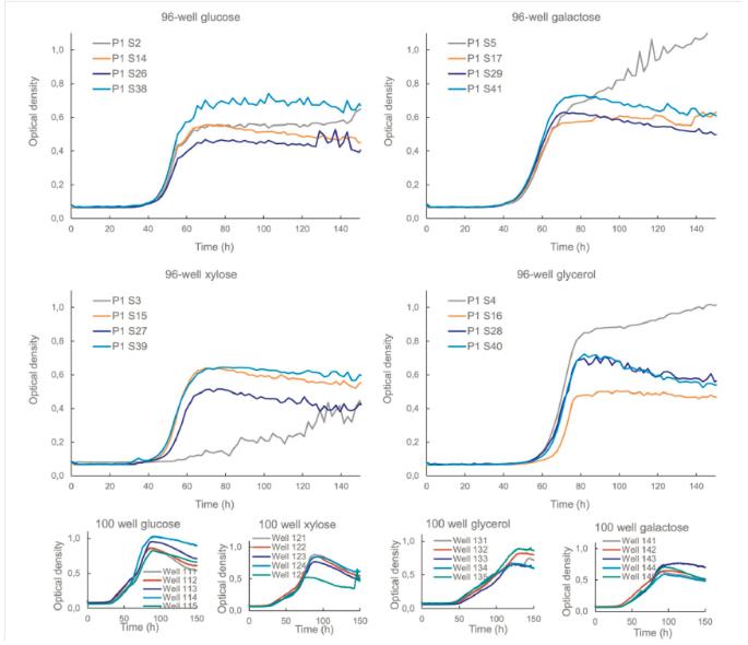 生長(zhǎng)曲線(xiàn)分析儀應(yīng)用：海洋絲狀真菌蜂窩平板培養(yǎng)與碳源生長(zhǎng)曲線(xiàn)測(cè)量