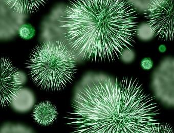 微生物生長(zhǎng)曲線(xiàn)的概念、階段、特點(diǎn)、在生產(chǎn)實(shí)踐中的應(yīng)用