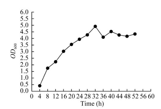 耐煙堿木質素優(yōu)勢降解菌YP-2023-9生長曲線及篩選