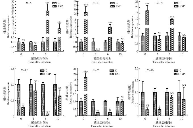 雞紅細胞免疫相關基因的調節(jié)功能研究