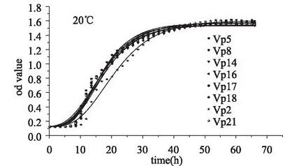 不同耐藥性致病副溶血性弧菌在20℃、25℃、37℃下的生長曲線（二）