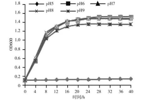 不同溫度、ph、N源、C源下?氟磺胺草醚降解菌株FCX2生長特性