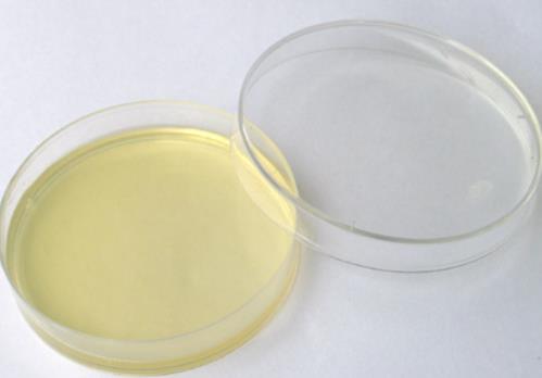 實(shí)驗(yàn)室微生物培養(yǎng)方法|微生物培養(yǎng)技術(shù)開發(fā)