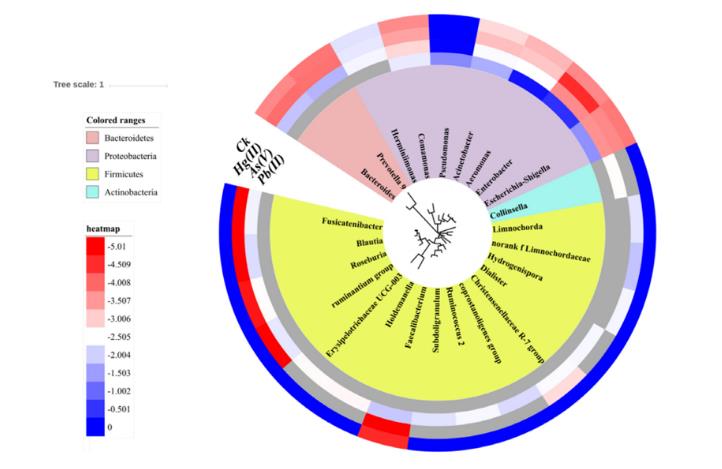 六種不同濃度的重金屬對污泥細(xì)菌群落中ARG轉(zhuǎn)移的影響