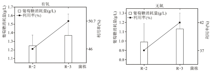 老窖泥篩選分離的6株乳酸利用菌培養(yǎng)、發(fā)酵性能、生長范圍（二）