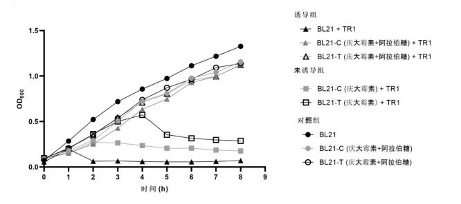 大腸埃希氏菌BL21-C和BL21-T抗噬菌體能力和生長(zhǎng)曲線測(cè)定