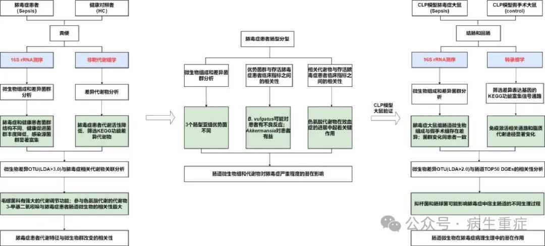闡明膿毒癥中腸道微生物群和代謝物的組成及其與疾病進(jìn)展的關(guān)系（一）