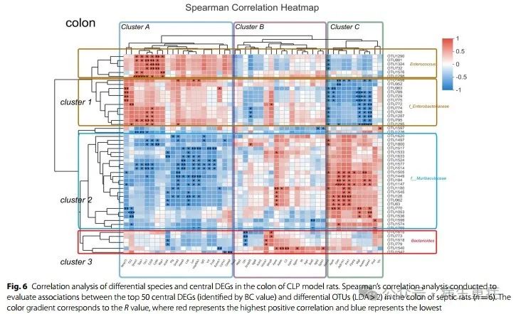 闡明膿毒癥中腸道微生物群和代謝物的組成及其與疾病進(jìn)展的關(guān)系（二）