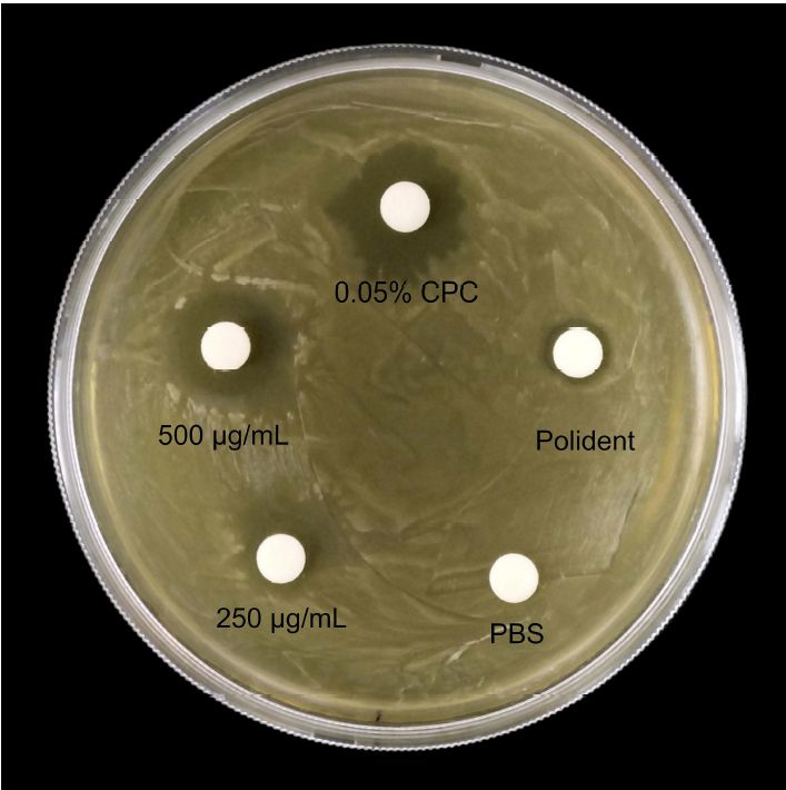 AgBr納米顆粒抑制變形鏈球菌生長與防止生物膜形成，適用于義齒清潔行業(yè)