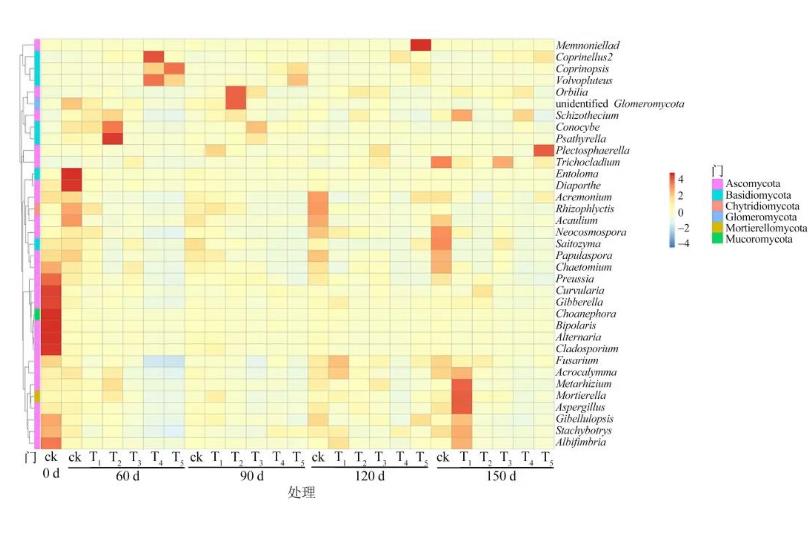葡萄枝條處理對(duì)土壤真菌群落結(jié)構(gòu)、生態(tài)變化的影響（三）
