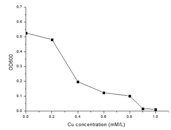 砷氧化菌株在砷脅迫中生長曲線測定及重金屬銅的耐受性（二）