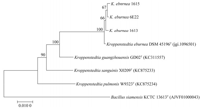 醬香型白酒堆積酒醅中分離克羅彭斯特德菌生長和揮發(fā)性化合物代謝特征（一）
