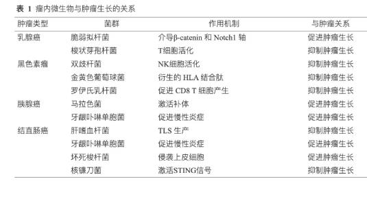 腫瘤內(nèi)微生物的發(fā)現(xiàn)、來(lái)源、特征及組成