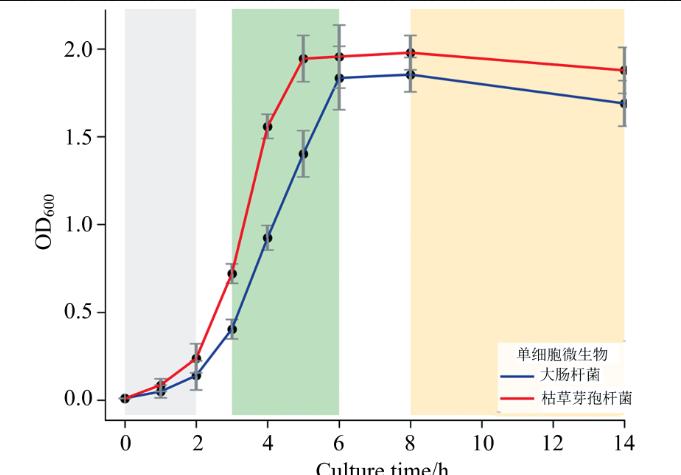 單細胞微生物生長時期精準鑒定與實時監(jiān)測方法（一）