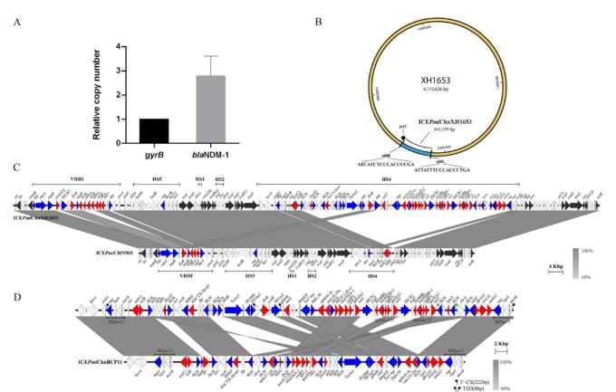 ?含碳青霉烯耐藥基因blaNDM-1的奇異變形桿菌，臨床治療極其困難