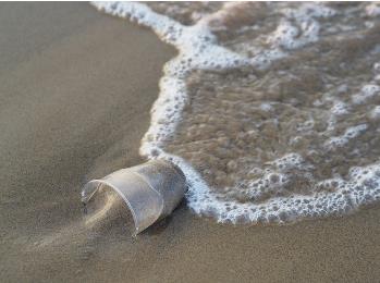 微塑料與致病菌、細(xì)菌遷徙、耐藥性的關(guān)系