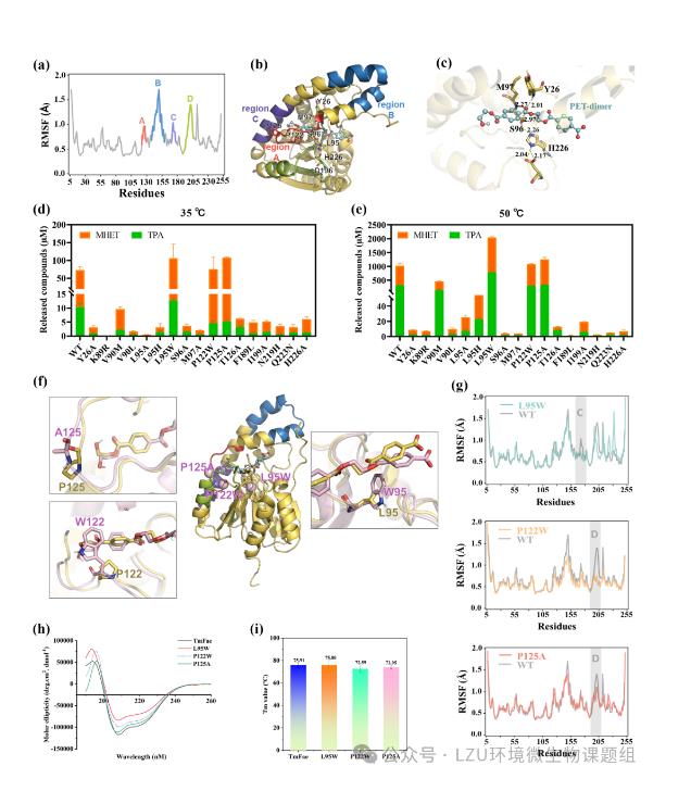 新篩選PET塑料降解酶表征、降解能力、最佳條件、實(shí)際應(yīng)用（二）