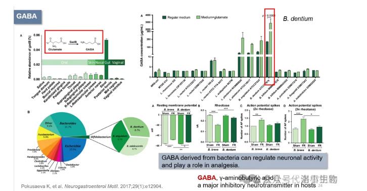 通過飲食-微生物-腸-腦軸促進健康的研究思路（二）